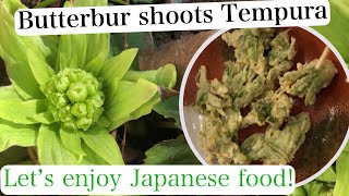 Butterbur shoots tempura Japanese seasonal food [upl. by Lugar]