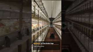 Philippine 80K birds broiler chicken farm commercial business  RETECH Farming [upl. by Arnold]