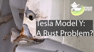 Tesla Model Y Et rustproblem [upl. by Lacombe320]