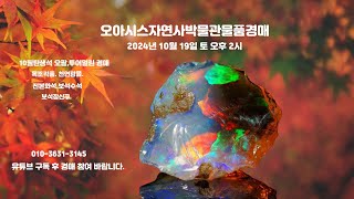 오아시스자연사박물관물품경매2024년 10월 19일토오후2시10월탄생석오팔투어멀린루비비취골동품경매opalTourmalineOctoberbirthstone [upl. by Pooley]