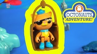 The Octonauts Adventure Save the Sea Turtle [upl. by Brantley]