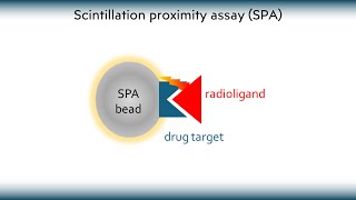 Scintillation proximity assay What it is how it works and what it is used for [upl. by Alejandrina]