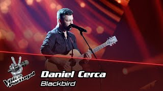 Daniel Cerca  quotBlackbirdquot  Provas Cegas  The Voice Portugal [upl. by Berti]