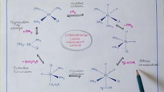 Wilkinsons catalyst  Hydrogenation of alkenes [upl. by Duwalt]