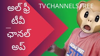 how to watch live tv channels free in Telugu all languages and world all tv channels live [upl. by Ecirtra]