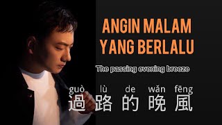 過路的晚風海來阿木  Guo Lu De Wan Feng  Hai Lai A Mu  Chinese Song  Pinyin  Mandarin Song [upl. by Trager237]