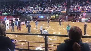 Bull Bash 2019 Cowboy Pinball [upl. by Seka]