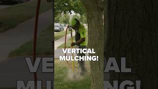 Vertical mulching to save trees treework arborist shorts [upl. by Winther239]