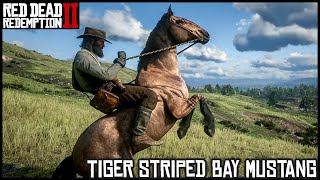 TIGER STRIPED BAY MUSTANG  Red Dead Redemption 2 Story Mode [upl. by Yoral]