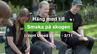 Smaka på skogen A [upl. by Feune889]