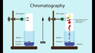 Chromatography techniques explained CLASS 11 chemistry [upl. by Aurel]