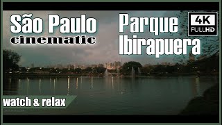 4K  O Parque Ibirapuera 4k relaxing walk  Ibirapuera walking 4k Sao Paulo walking HD world BR [upl. by Ydassac]