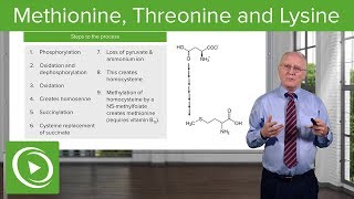 Methionine Threonine and Lysine Metabolism – Biochemistry  Lecturio [upl. by Mikes591]