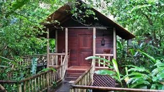 Evergreen Lodge Tortuguero Costa Rica [upl. by Lyndsey599]