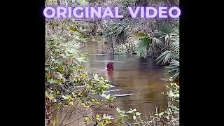 ORIGINAL VIDEO OF PAOLA MIRANDA WITH SOUND [upl. by Haymo185]