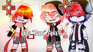 ARTI quotNANIquot APA  CountryHumans [upl. by Notsniw]