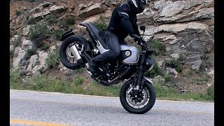 Benelli Leoncino 500Test Ride Moto in Action [upl. by Ayekat]