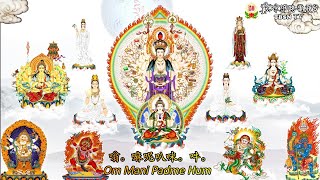 Dharmaraja Liansheng Menjapa Mantra Hati Bodhisattva Avalokitesvara 108x 蓮生活佛親誦「觀世音菩薩」心咒108遍 [upl. by Sudaorb]