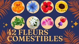 Voici la liste de 42 fleurs comestibles à déguster [upl. by Irb]