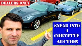 Dealer Only Corvette Auction  All Access with Prices [upl. by Rudolph992]