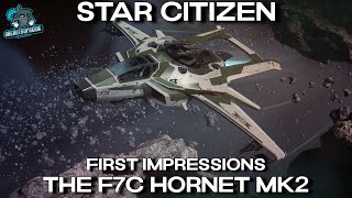 Star Citizen First Impressions  The F7C Hornet Mk2 [upl. by Uyekawa981]