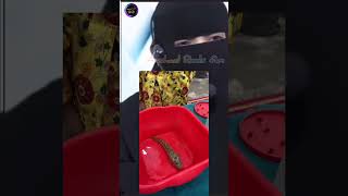 Arshad Reels 😂🌹islamic pegham ❤️entertainment foryou youtubeshorts arshadreels [upl. by Dhruv510]