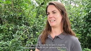 What are Carbon Credits Tradin Organic explains [upl. by Zzaj510]