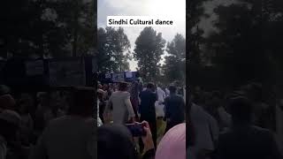 Sindhi dance sindh groom festival numlislamabad [upl. by Nylrad]