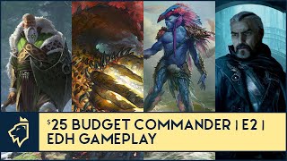 Fynn vs Thromok vs Talrand vs Odric  Budget Commander E2  EDH Gameplay for Magic the Gathering [upl. by Hermine191]