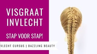 VISSENGRAAT VLECHT INGEVLOCHTEN  HOE DOE JE DAT  Vlecht Cursus Dazzling Beauty deel 5 [upl. by Nytsirk]