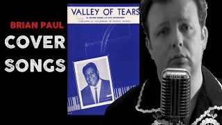 COVER SONGS Valley Of Tears [upl. by Amice]