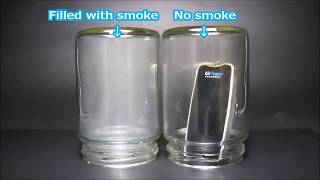 AirTamer Smoke Test  Amazing Air Purifier [upl. by Adnileb]