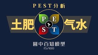 思维模型15 PEST分析 [upl. by Bobbe]