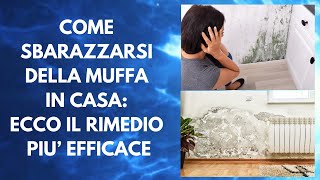 Come sbarazzarsi della muffa in casa Ecco il rimedio più efficace [upl. by Nnayar]