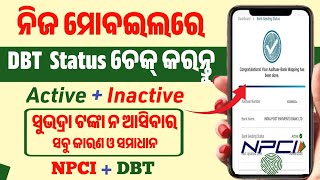 NPCI DBT କେମିତି ଚେକ୍ କରିବେ Aadhaar seeding with bank account  Npci link to bank account  Dbt [upl. by Gnehs]