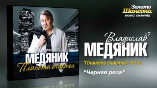 Владислав Медяник  Чёрная роза Audio [upl. by Ornie]