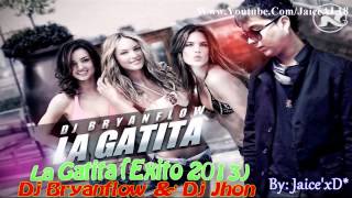 La Gatita Exito 2013  Dj Bryanflow amp Dj Jhon [upl. by Er]