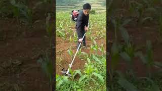 multifunctional weeder tiller cutter gasoline engine driven [upl. by Notfa]