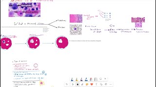 Cell injury and necrosis 2 [upl. by Nyltiac]