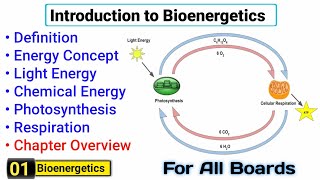 Bioenergetics  Definition and Introduction  Complete Concept  Chapter Overview [upl. by Nolyaw554]