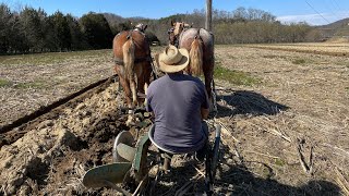 Plowing with horses [upl. by Haleeuqa]