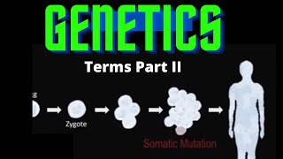 USMLE Step 1  Lesson 32  Genetic terms Part II [upl. by Cosenza]