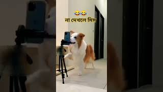 dog style selfieaboltabolbahiniviralfunnycomedyshortsfunnyvideo😲😂🇧🇩 [upl. by Bart193]