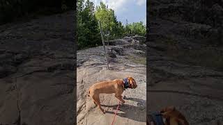 Devils Rock Lookout Lake Temiskaming  Ontario nature northernontario [upl. by Ozen3]