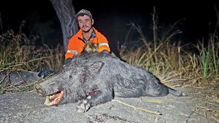 Bailing Hooky Cape York Boars [upl. by Lig]