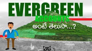 ఎవర్ గ్రీన్ అకౌంట్స్ అంటే ఏంటి  RBI ఏం చెప్తుంది  viral finance banks nbfc rbi trending [upl. by Ileyan]