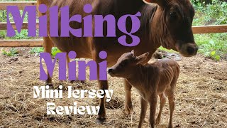 Mini Jersey Review amp 1 Secret Discovery That Changed EVERYTHING [upl. by Aram]