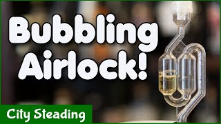 Watch an Airlock Bubbling During Mead Fermentation  Entertainment for Brewers [upl. by Arianne]