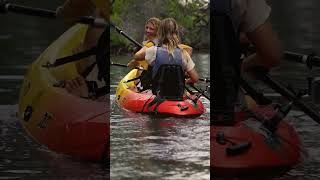 Kayak Adventure at Curaçao Rif Mangrove Park shorts [upl. by Llemhar]