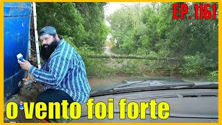 vento forte e chuva logo cedo  VLOG RURAL [upl. by Eilyak]